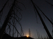 By Light of the Moon