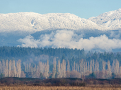 North shore Mountains