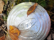 Ford Hub Cap
