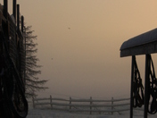 A foggy morning in the kennel