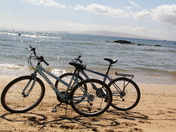 beach bikes