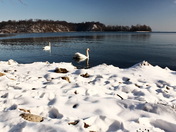 The Hamilton Harbour