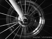 Bicycle Wheel
