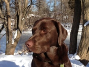 Great Day for a Walk