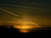 Beautiful Shade of Orange 