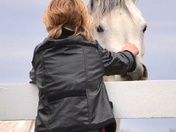 Bonding with an Arabian