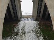 Bridge Graffiti in Winter