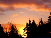 Beautiful sunrise after storm last evening:)