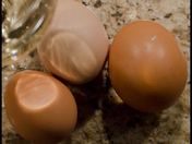 Buy Local - Free Range