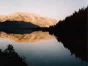 There's gold in them there hills!