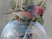 I hear you knocking....