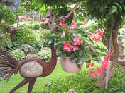 BIG BIRD IN THE GARDEN