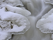 Black Creek, Close-up