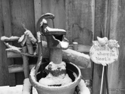 Snow covered water pump