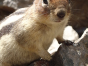 I'm Ready for my Close-Up