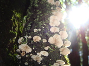 Saskatchewan untouched wilderness